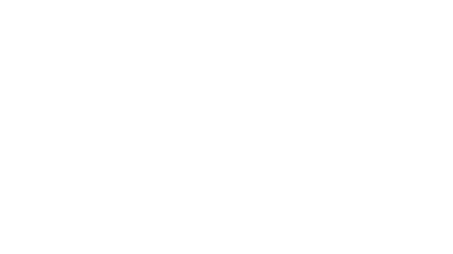 www.flycapitalmanagement.com favicon